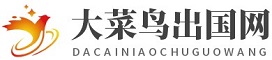 大菜鸟出国网