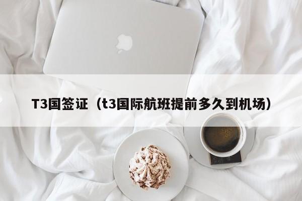 T3国签证（t3国际航班提前多久到机场）