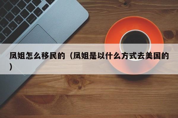 凤姐怎么移民的（凤姐是以什么方式去美国的）