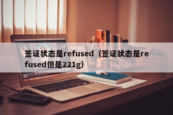 签证状态是refused（签证状态是refused但是221g）