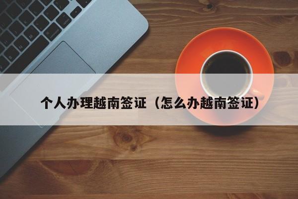 个人办理越南签证（怎么办越南签证）
