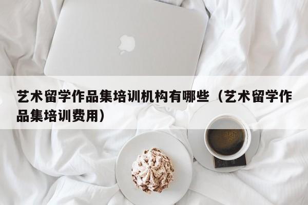 艺术留学作品集培训机构有哪些（艺术留学作品集培训费用）