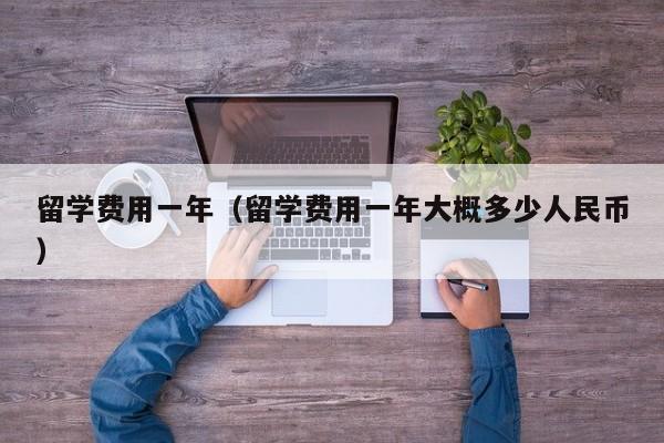 留学费用一年（留学费用一年大概多少人民币）