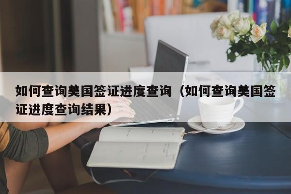 如何查询美国签证进度查询（如何查询美国签证进度查询结果）