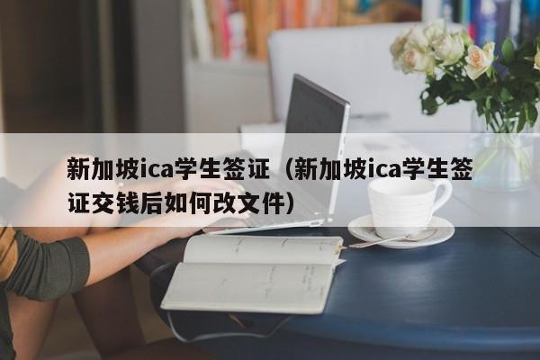 新加坡ica学生签证（新加坡ica学生签证交钱后如何改文件）