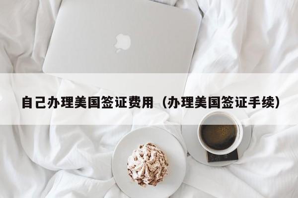 自己办理美国签证费用（办理美国签证手续）