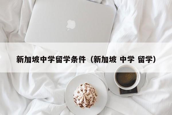 新加坡中学留学条件（新加坡 中学 留学）