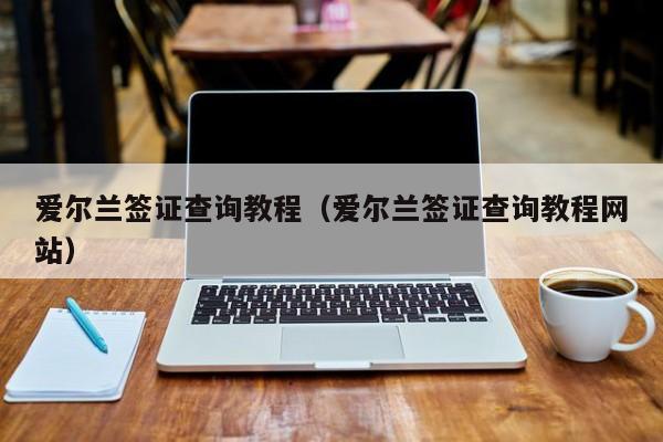 爱尔兰签证查询教程（爱尔兰签证查询教程网站）
