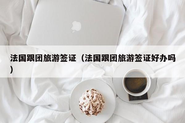 法国跟团旅游签证（法国跟团旅游签证好办吗）
