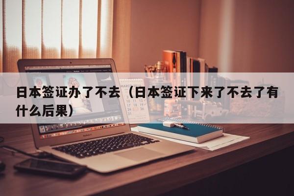 日本签证办了不去（日本签证下来了不去了有什么后果）