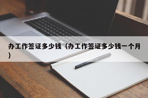 办工作签证多少钱（办工作签证多少钱一个月）