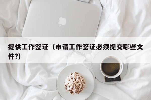 提供工作签证（申请工作签证必须提交哪些文件?）