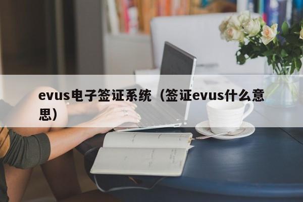 evus电子签证系统（签证evus什么意思）
