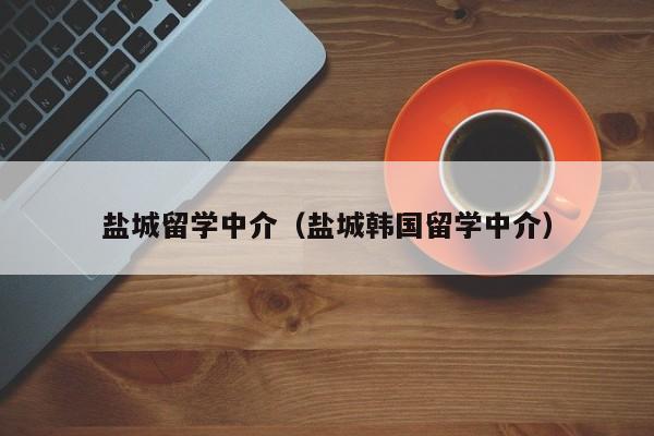 盐城留学中介（盐城韩国留学中介）