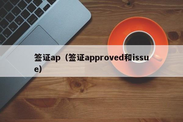 签证ap（签证approved和issue）