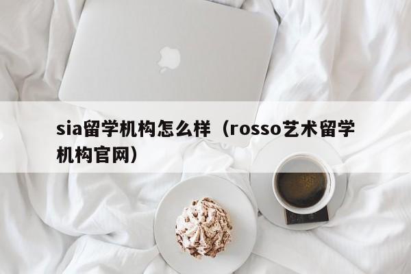 sia留学机构怎么样（rosso艺术留学机构官网）