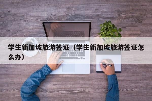 学生新加坡旅游签证（学生新加坡旅游签证怎么办）