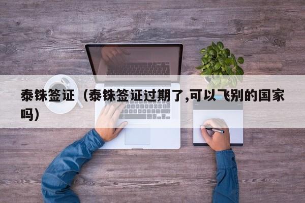 泰铢签证（泰铢签证过期了,可以飞别的国家吗）