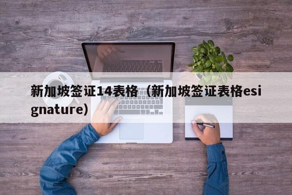 新加坡签证14表格（新加坡签证表格esignature）