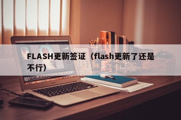 FLASH更新签证（flash更新了还是不行）