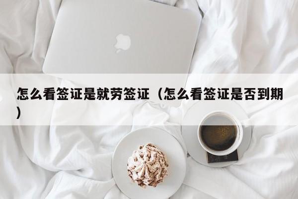 怎么看签证是就劳签证（怎么看签证是否到期）