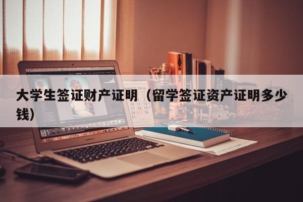 大学生签证财产证明（留学签证资产证明多少钱）