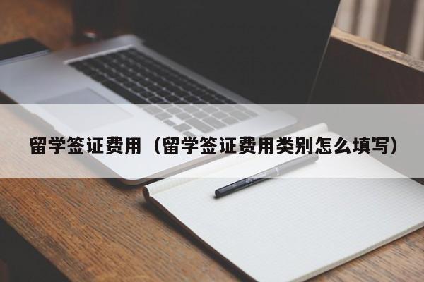 留学签证费用（留学签证费用类别怎么填写）