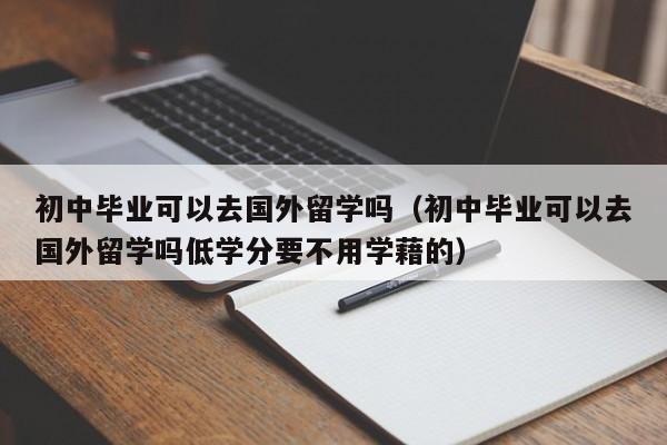 初中毕业可以去国外留学吗（初中毕业可以去国外留学吗低学分要不用学藉的）
