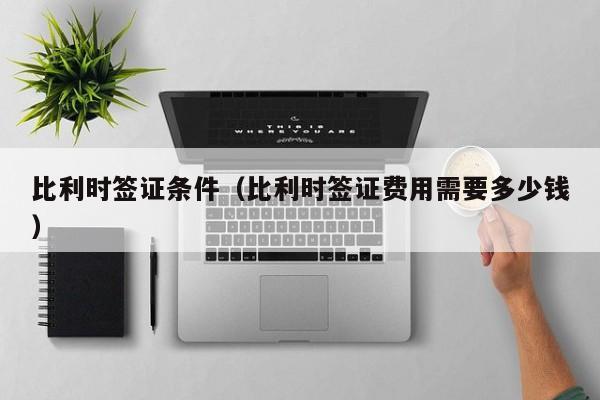 比利时签证条件（比利时签证费用需要多少钱）