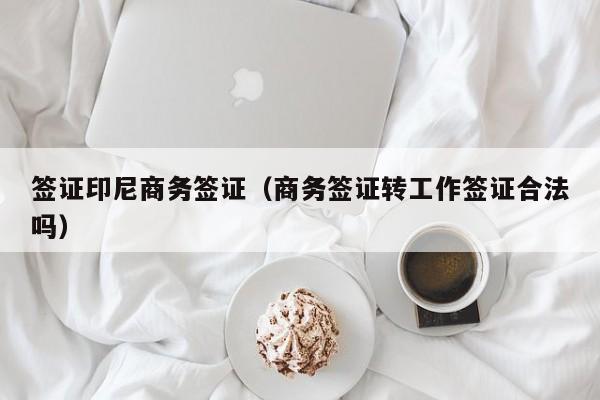 签证印尼商务签证（商务签证转工作签证合法吗）