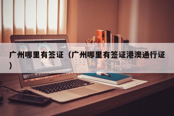 广州哪里有签证（广州哪里有签证港澳通行证）
