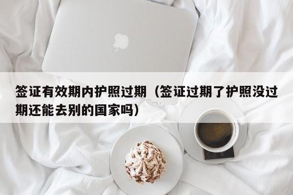 签证有效期内护照过期（签证过期了护照没过期还能去别的国家吗）