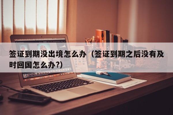 签证到期没出境怎么办（签证到期之后没有及时回国怎么办?）