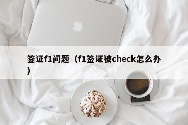 签证f1问题（f1签证被check怎么办）
