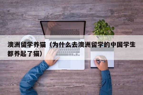 澳洲留学养猫（为什么去澳洲留学的中国学生都养起了猫）