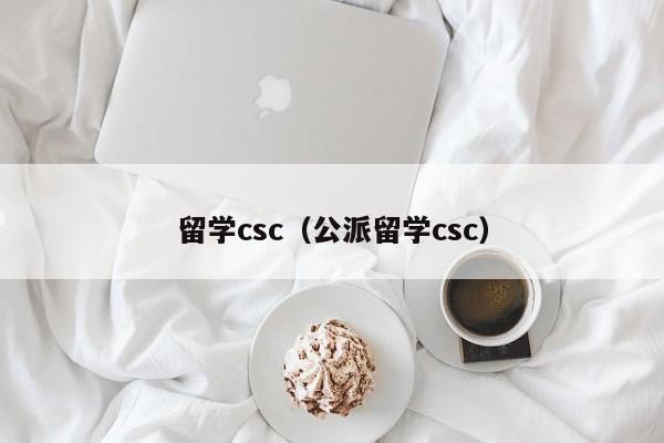 留学csc（公派留学csc）