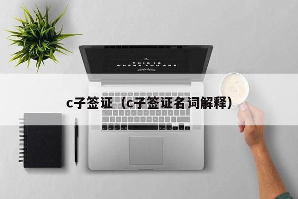c子签证（c子签证名词解释）