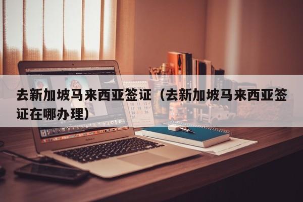 去新加坡马来西亚签证（去新加坡马来西亚签证在哪办理）