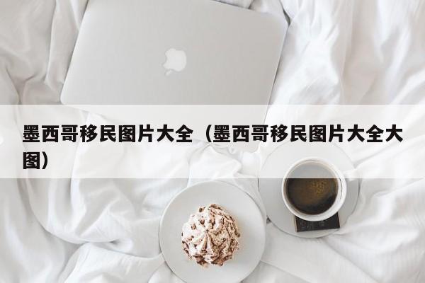 墨西哥移民图片大全（墨西哥移民图片大全大图）