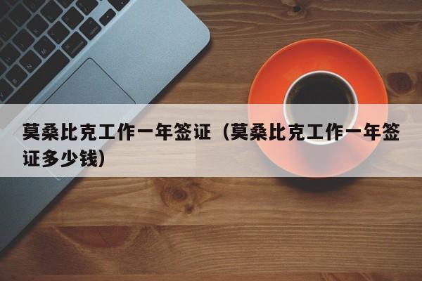 莫桑比克工作一年签证（莫桑比克工作一年签证多少钱）