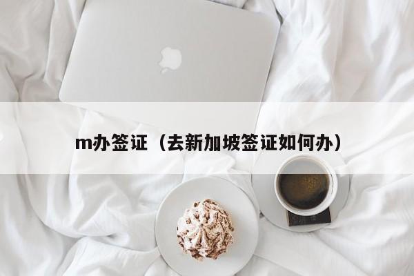 m办签证（去新加坡签证如何办）