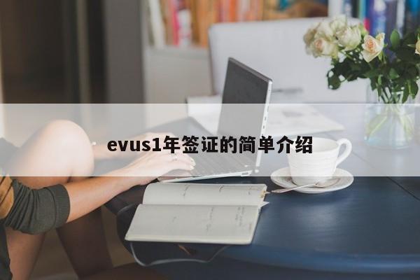 evus1年签证的简单介绍