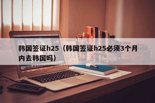 韩国签证h25（韩国签证h25必须3个月内去韩国吗）