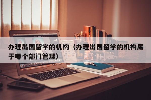 办理出国留学的机构（办理出国留学的机构属于哪个部门管理）
