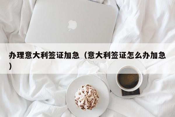 办理意大利签证加急（意大利签证怎么办加急）