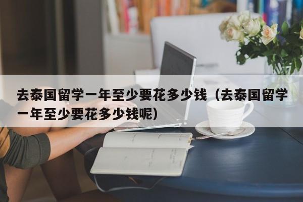 去泰国留学一年至少要花多少钱（去泰国留学一年至少要花多少钱呢）