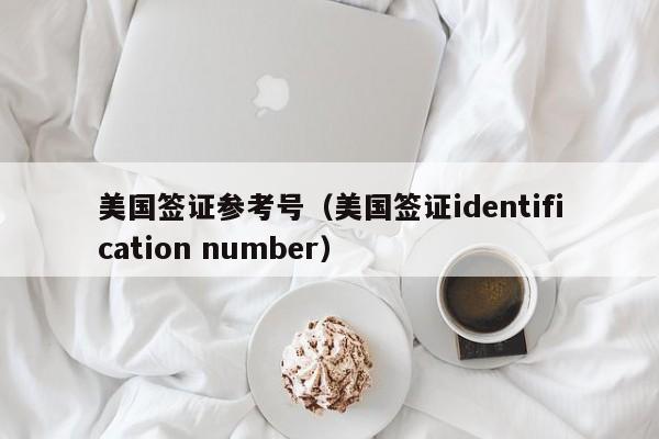 美国签证参考号（美国签证identification number）