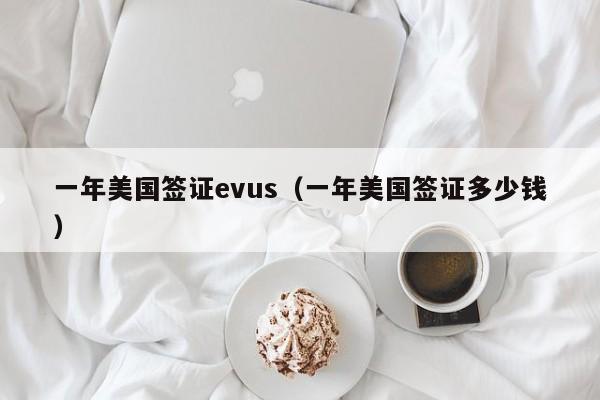 一年美国签证evus（一年美国签证多少钱）
