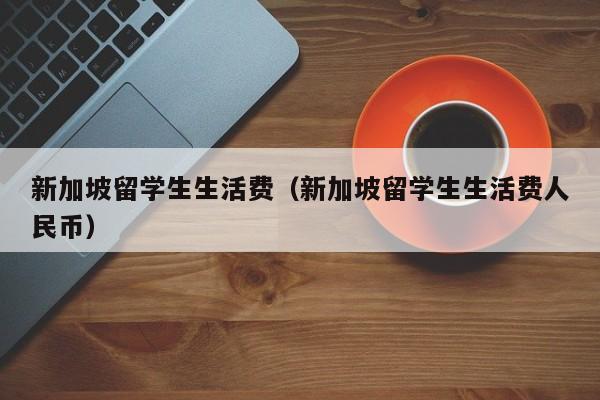 新加坡留学生生活费（新加坡留学生生活费人民币）