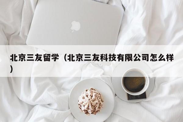 北京三友留学（北京三友科技有限公司怎么样）